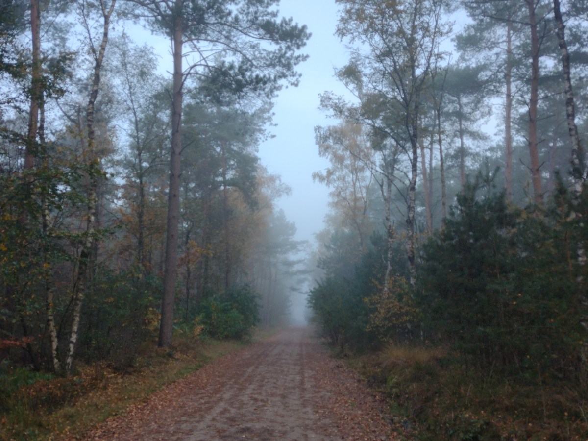 Lekker vochtig: over&nbsp;condens