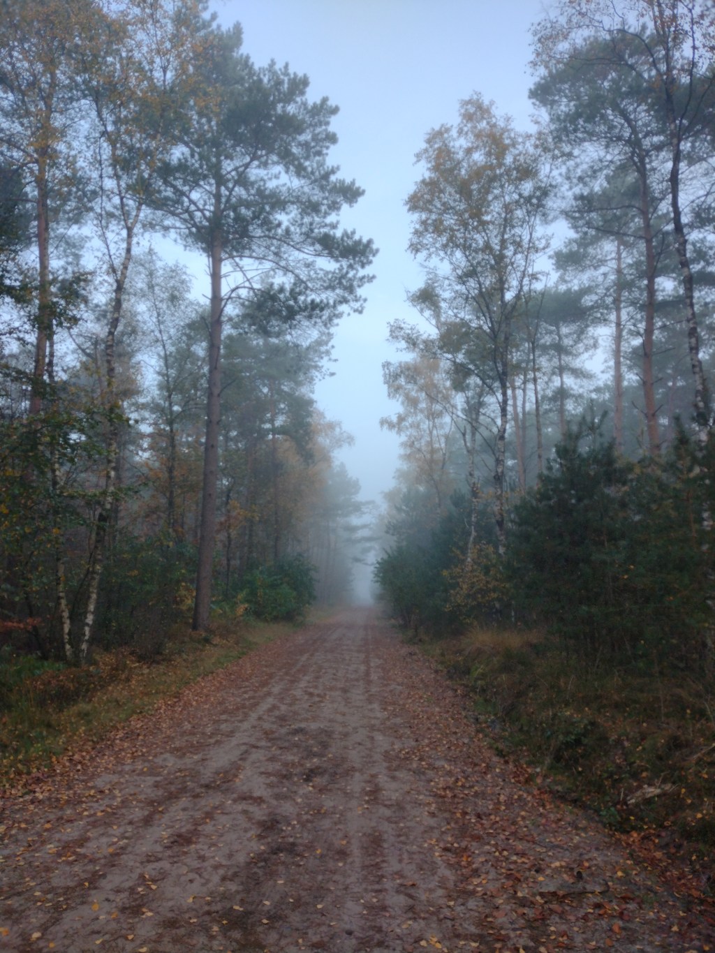 Lekker vochtig: over&nbsp;condens