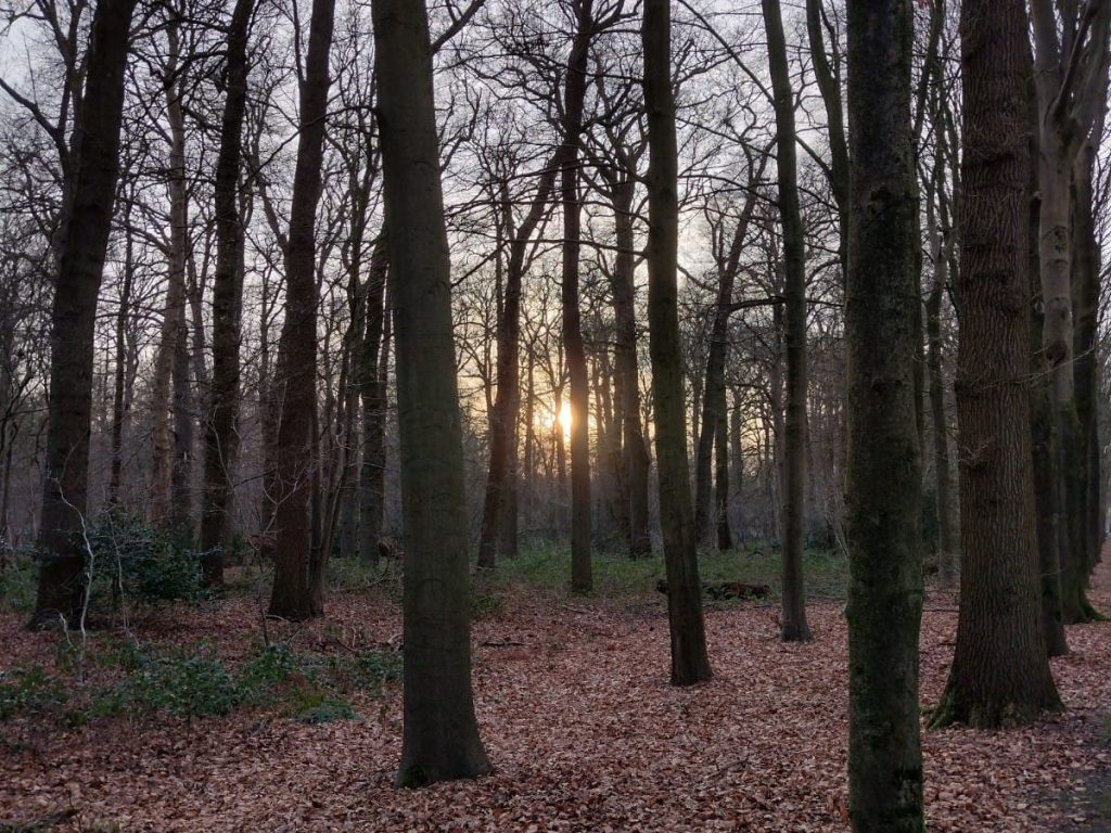 Midwinter & de Heilige Nachten&nbsp;inspiratie