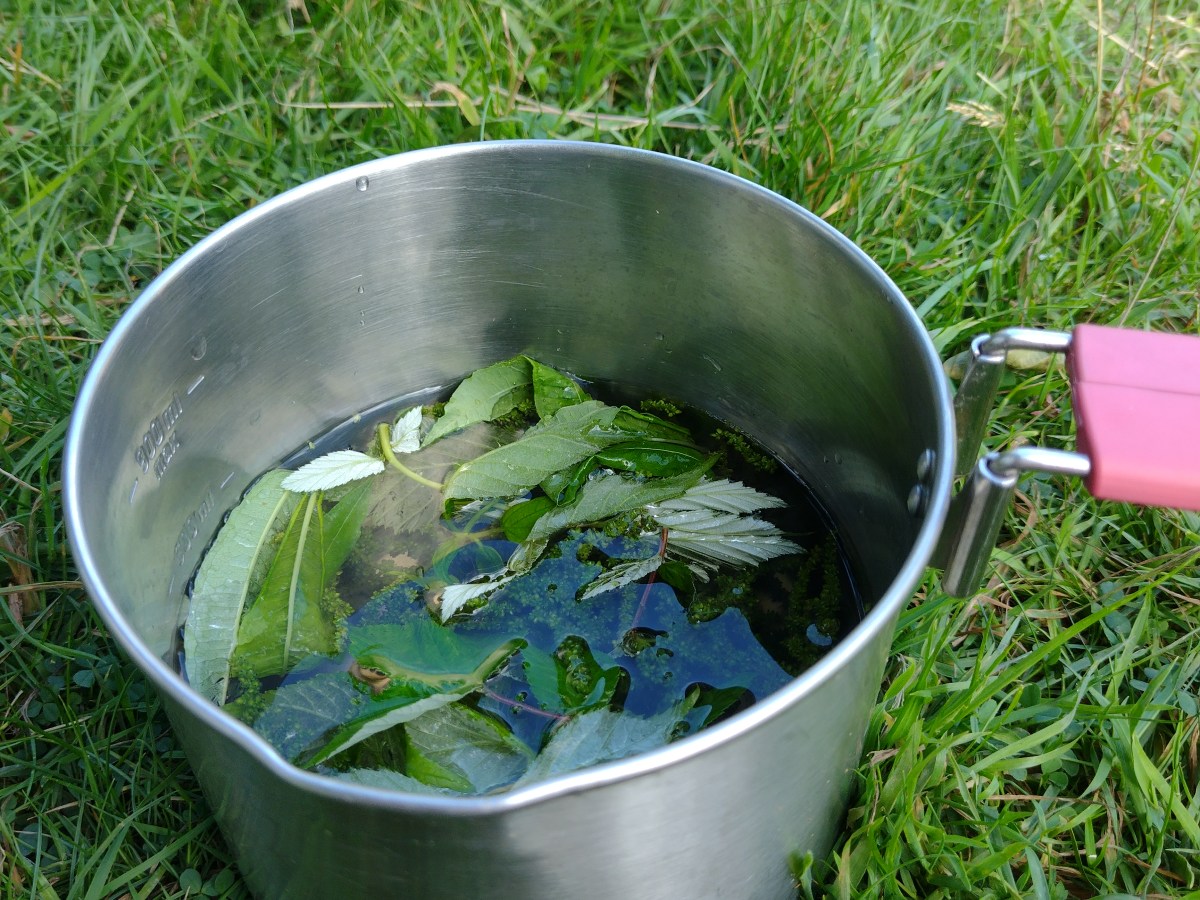 Wildplukronde in Wales