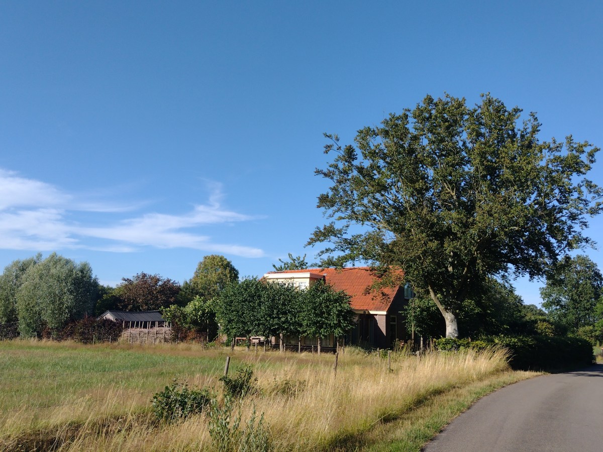 Bankhangen als huisoppas