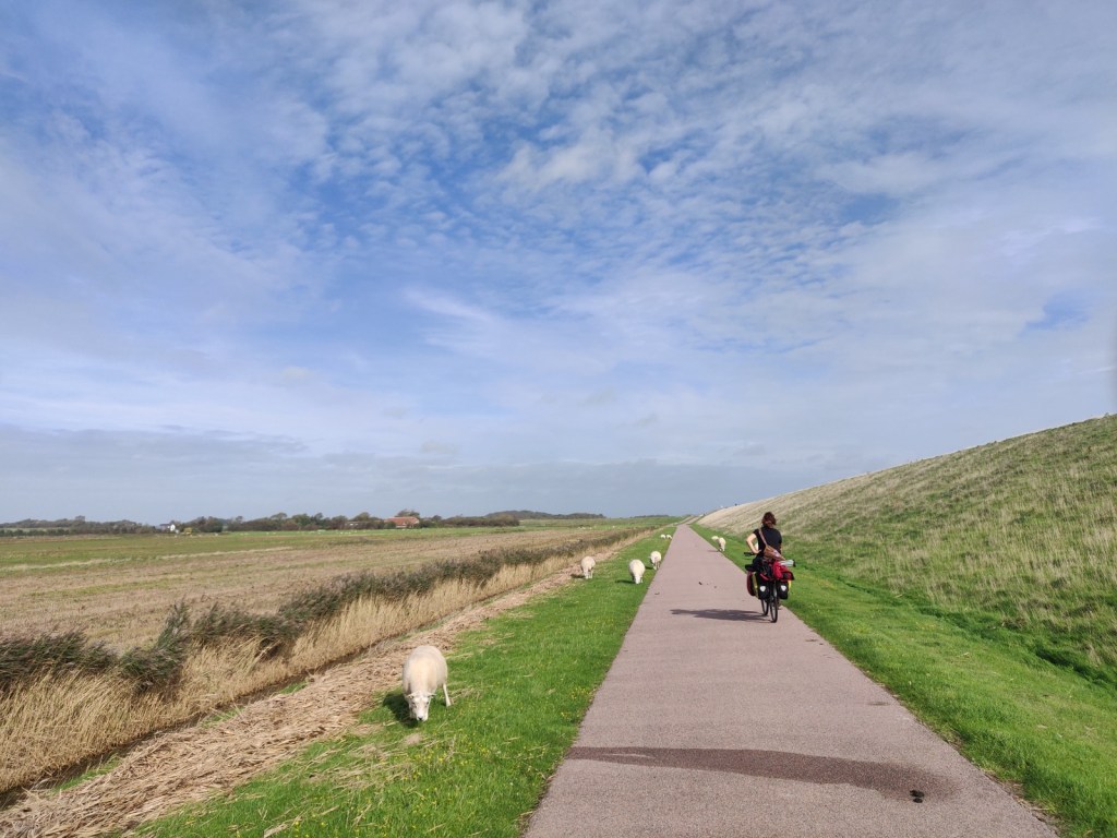 Op fietsvakantie naar de&nbsp;Wadden
