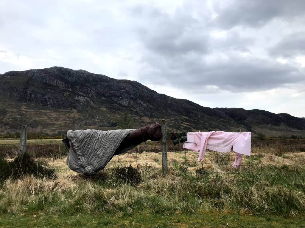 De taal van&nbsp;vogels