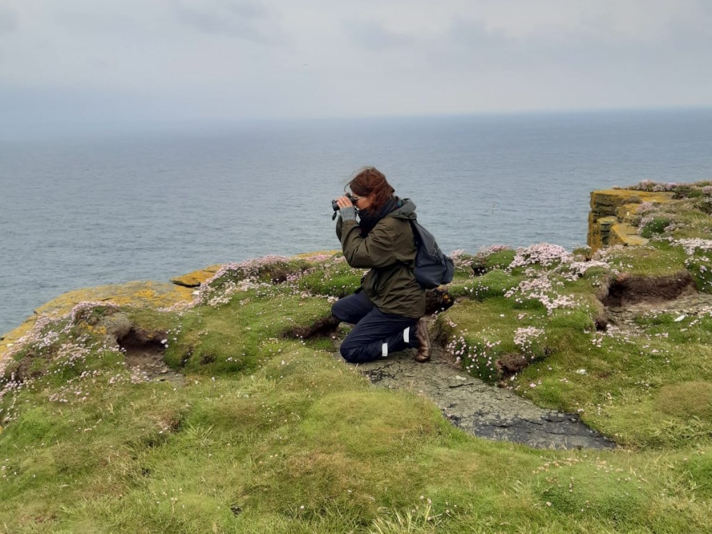 De vogelaar in mij&nbsp;(Orkneys)