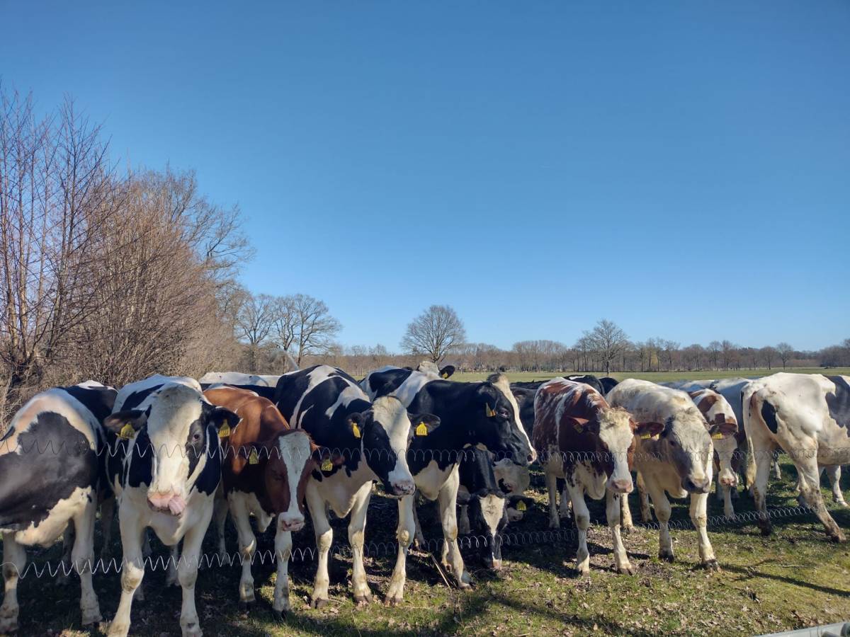 Hoe wordt boter&nbsp;gemaakt?