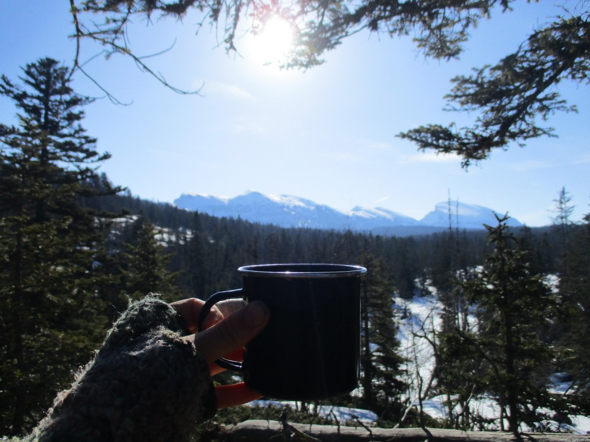 Vallei van de&nbsp;wolven