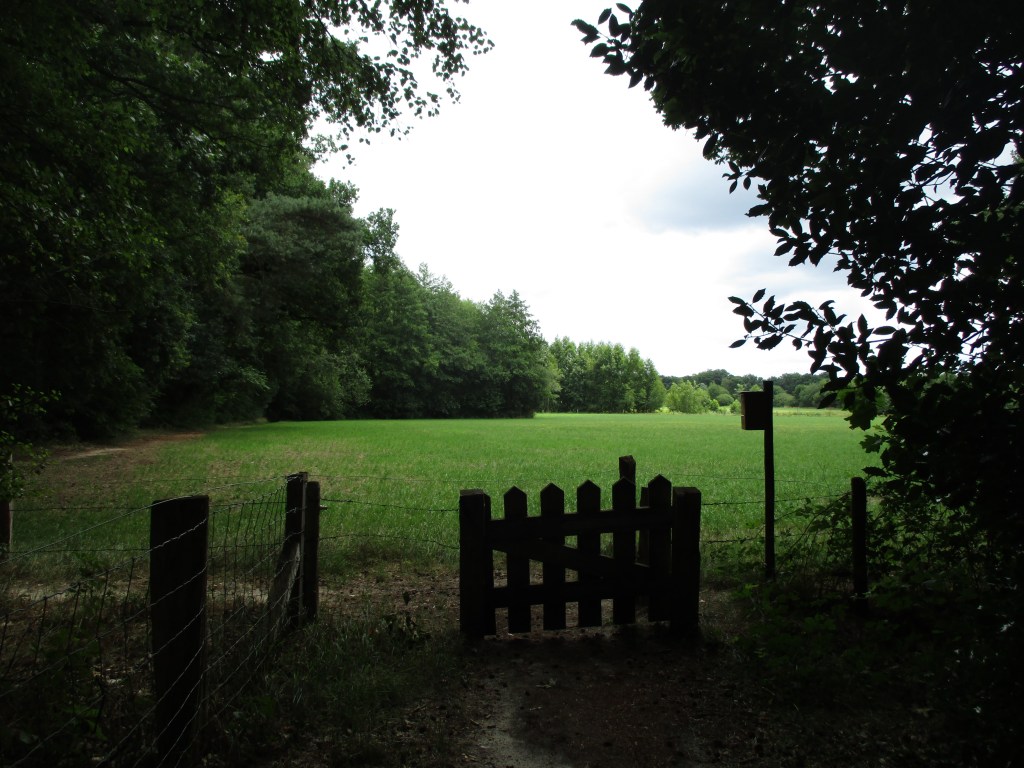 Het begint weer te&nbsp;kriebelen